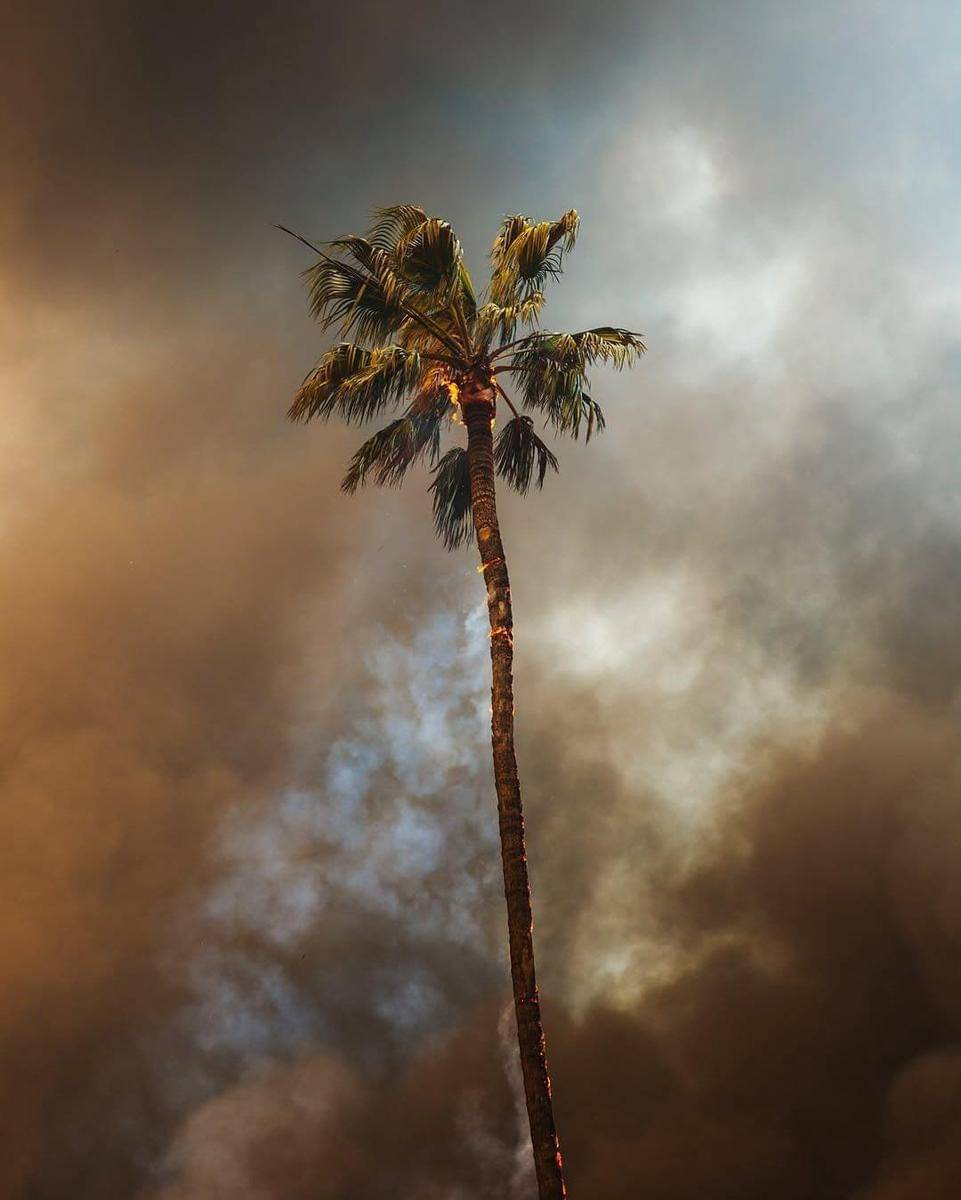 Instagram.com/shotbykyle